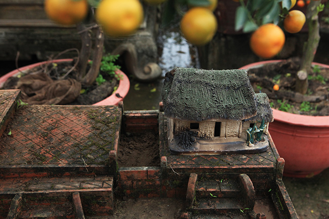 Đẹp mê hồn, quất tiểu cảnh cây đa giếng nước sân đình